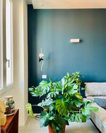 parentesi-pendant-light