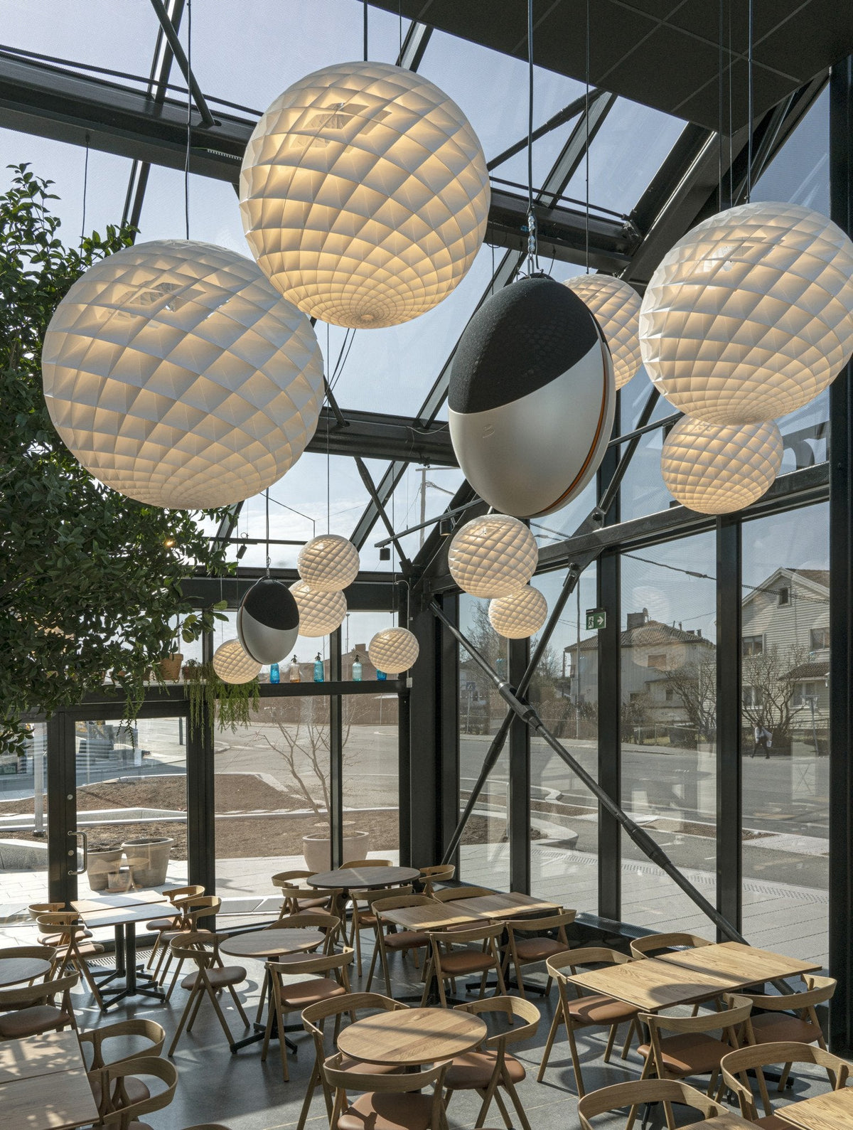 Patera Pendant Light