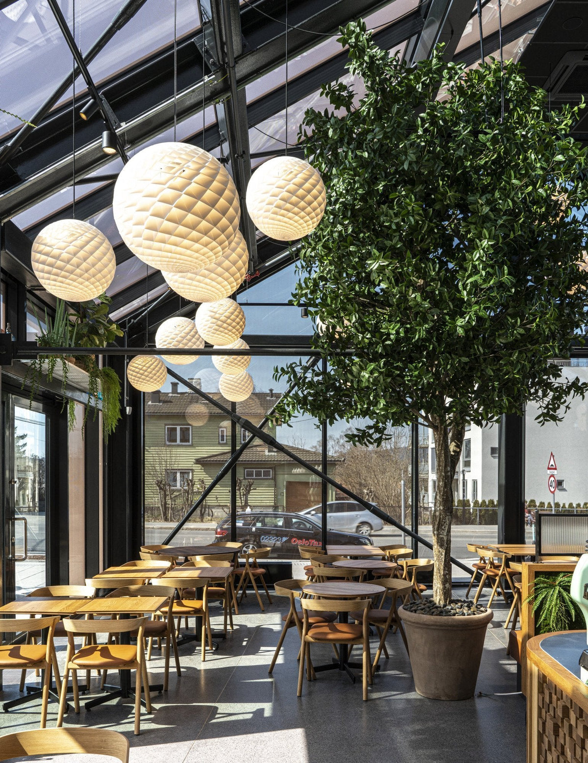 Patera Pendant Light