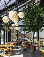 Patera Pendant Light
