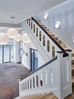 Patera Pendant Light