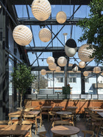 Patera Pendant Light