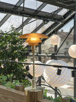 Patera Pendant Light