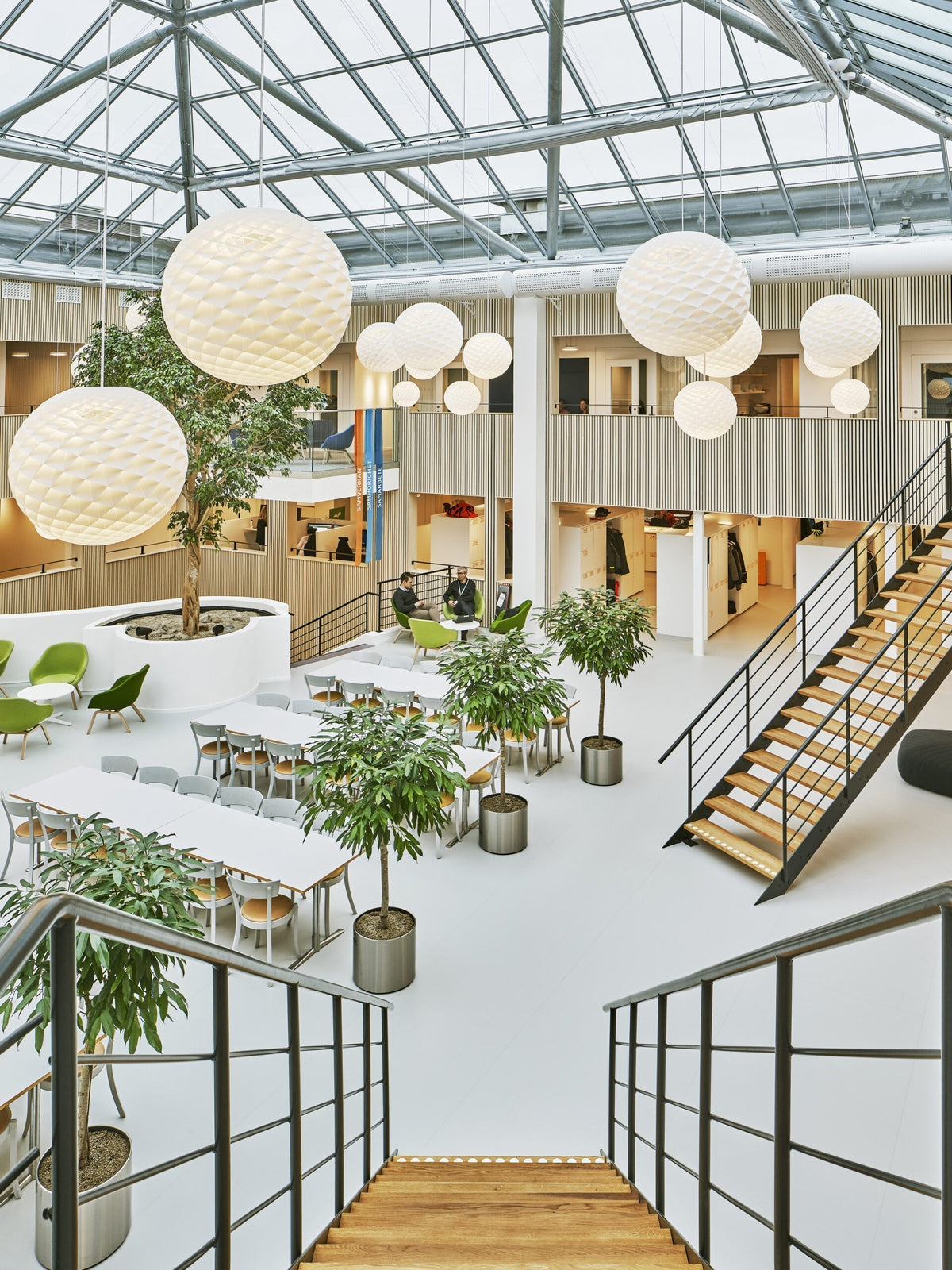 Patera Pendant Light