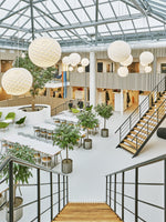 Patera Pendant Light