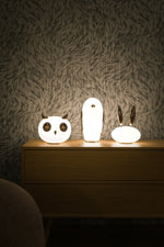 Pet Light