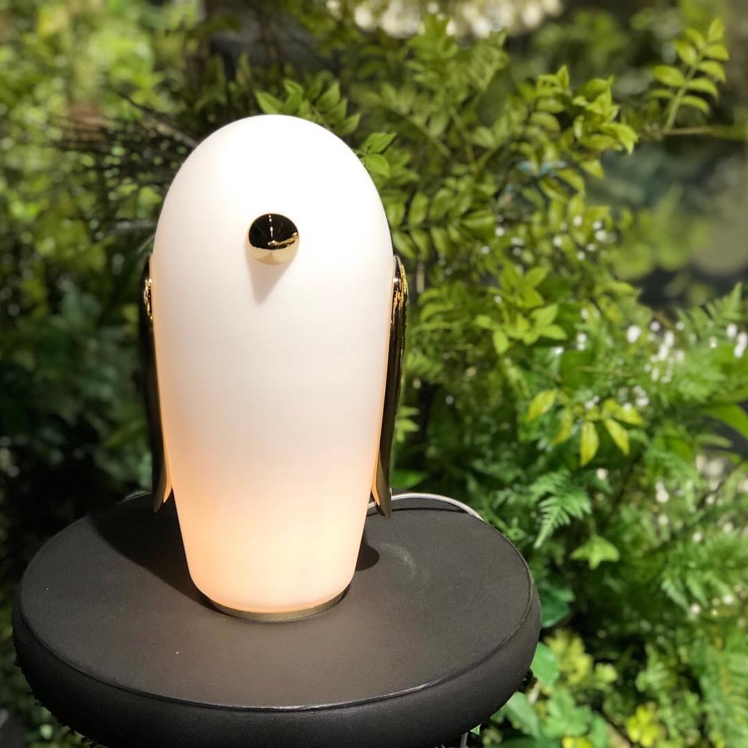 Pet Light