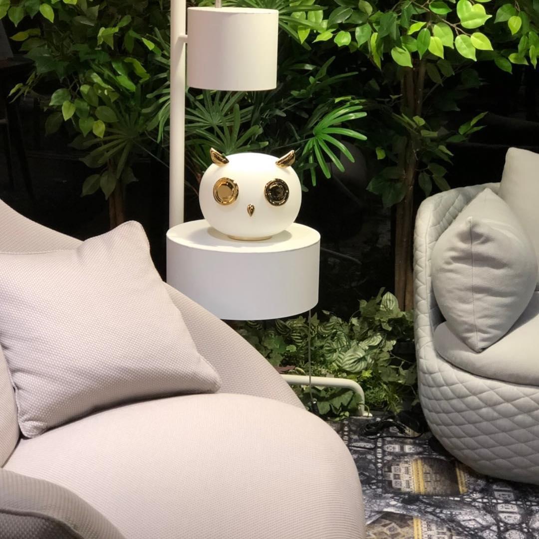 Pet Light