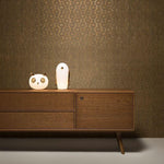 Pet Light