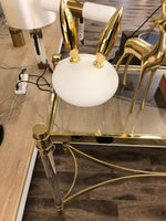 Pet Light
