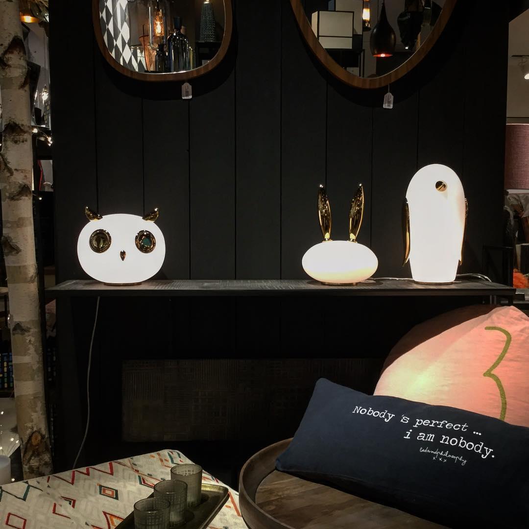 Pet Light