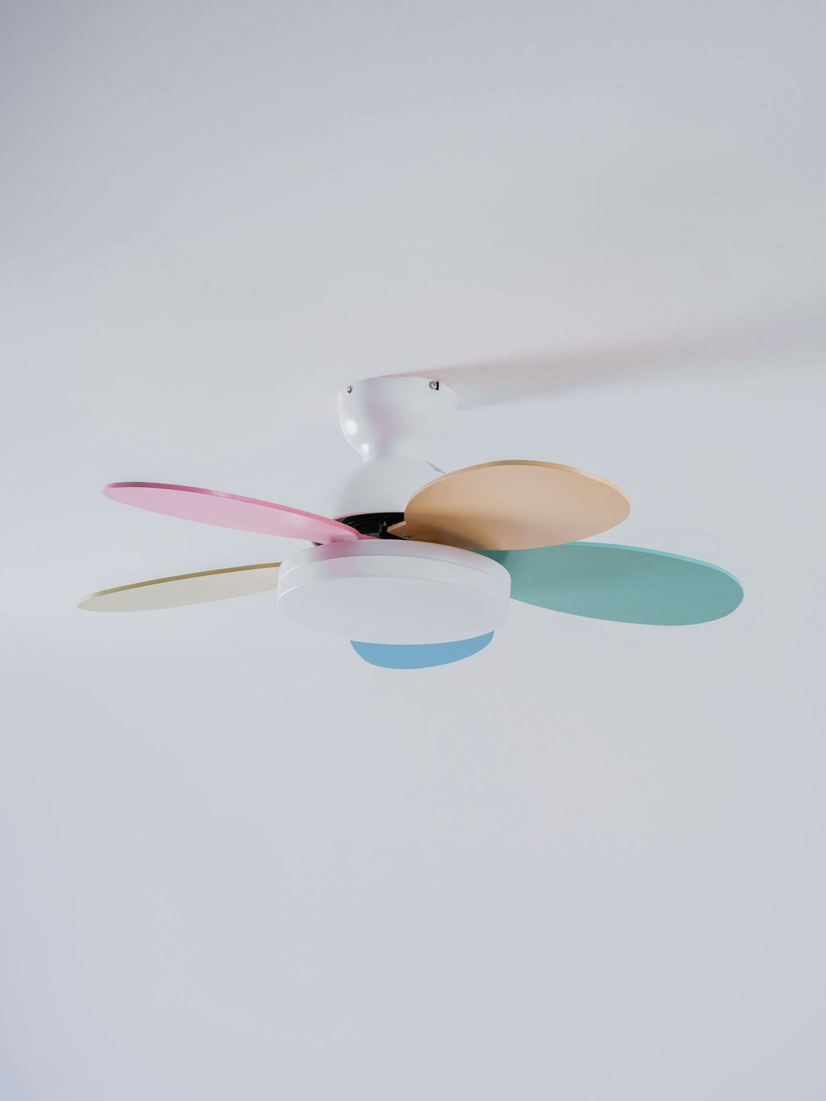 Petalo Six-Blade Wooden Ceiling Fan with Integrated LED Light