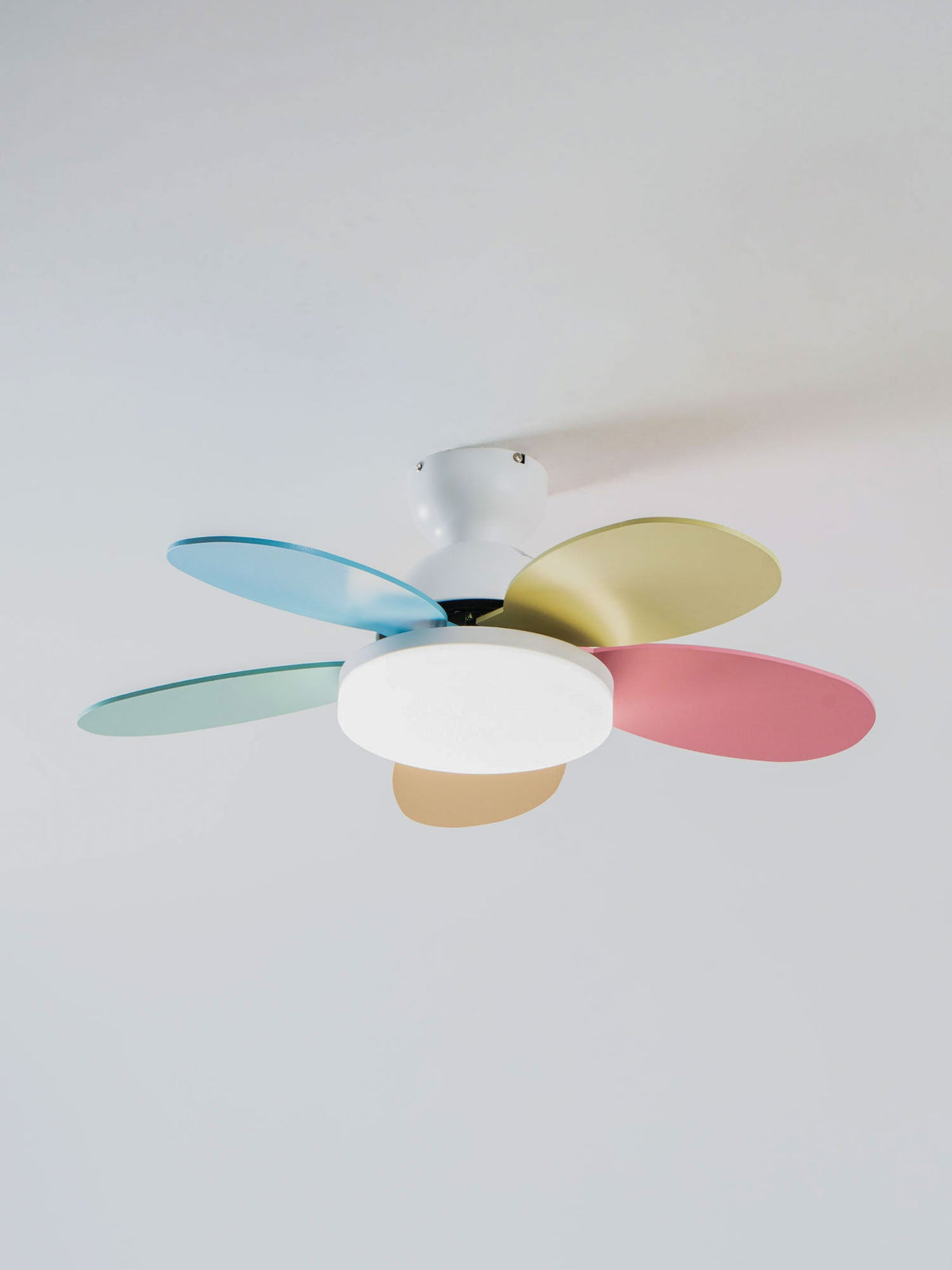 Petalo Six-Blade Wooden Ceiling Fan with Integrated LED Light