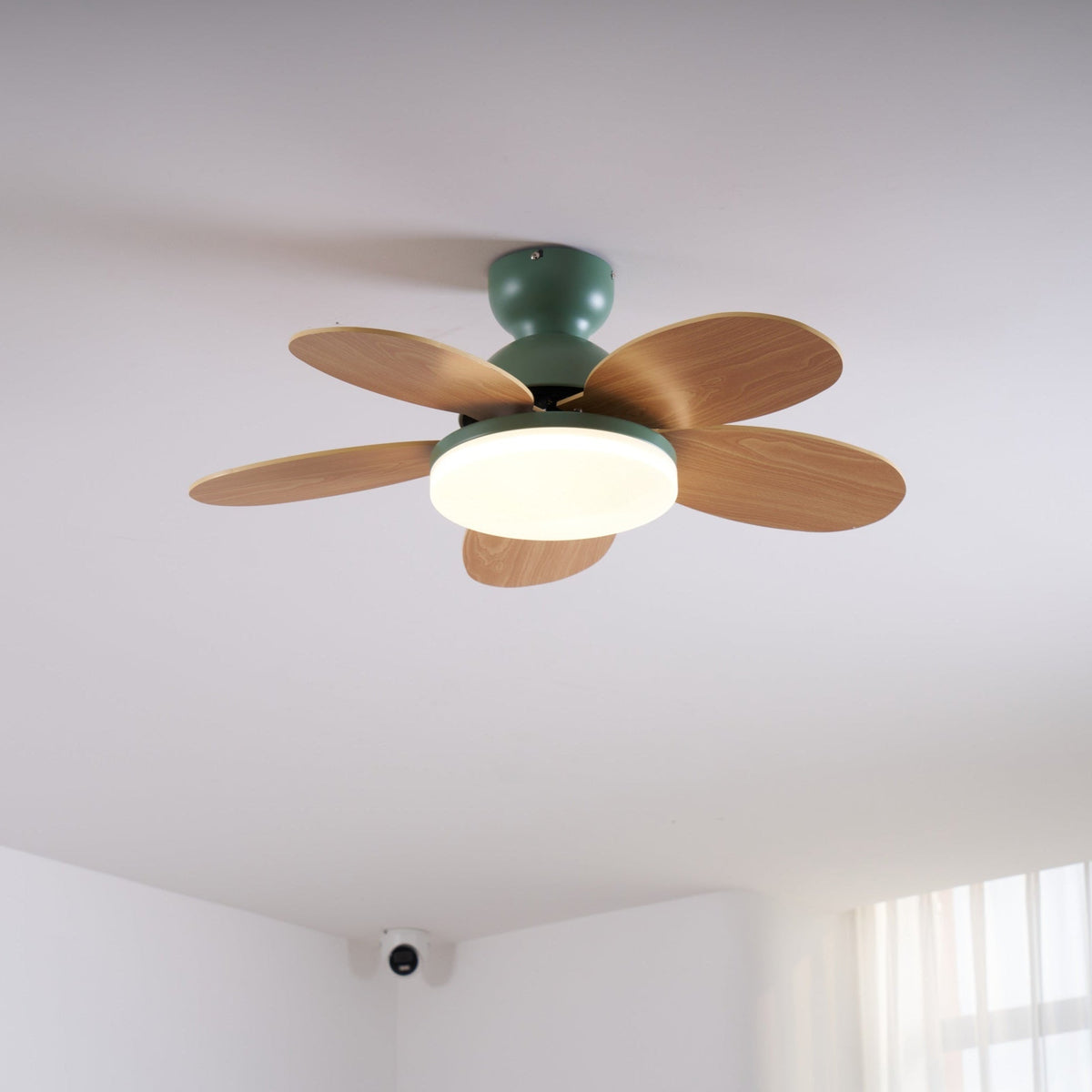 Petalo Six-Blade Wooden Ceiling Fan with Integrated LED Light