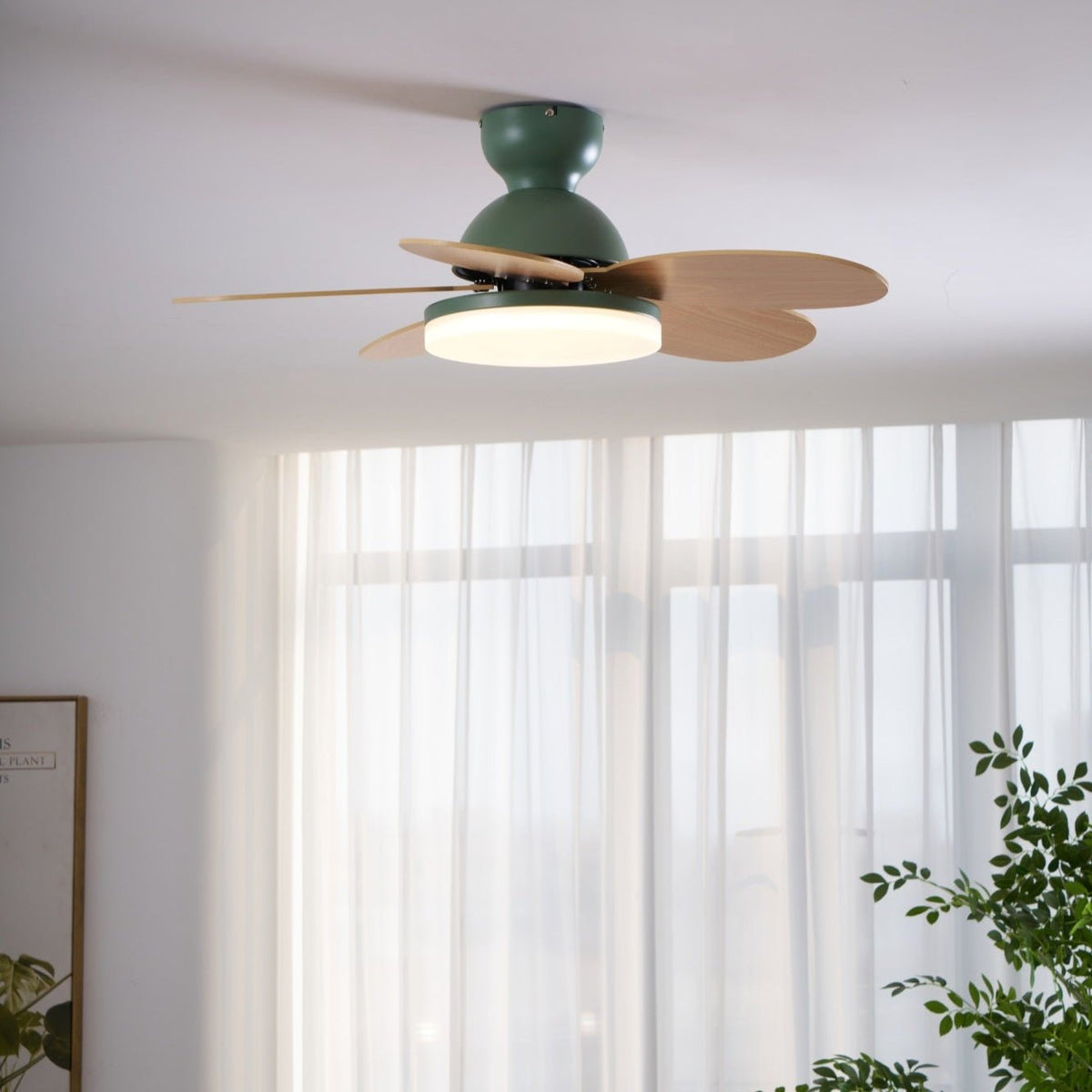 Petalo Six-Blade Wooden Ceiling Fan with Integrated LED Light
