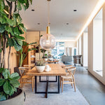 Phenomena Pendant Light