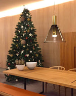 Phenomena Pendant Light