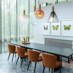 Phenomena Pendant Light