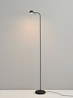 pin-floor-lamp