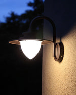 Pine Cone Outdoor Wall Light