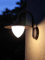 Pine Cone Outdoor Wall Light