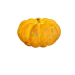 Portable Pumpkin Built In Battery Table Lamp