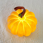Portable Pumpkin Built In Battery Table Lamp