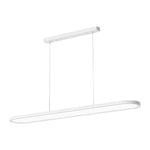Modern Oval LED Pendant Light in Black, White, or Coffee