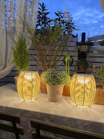 Lantern Built In Battery Table Lamp