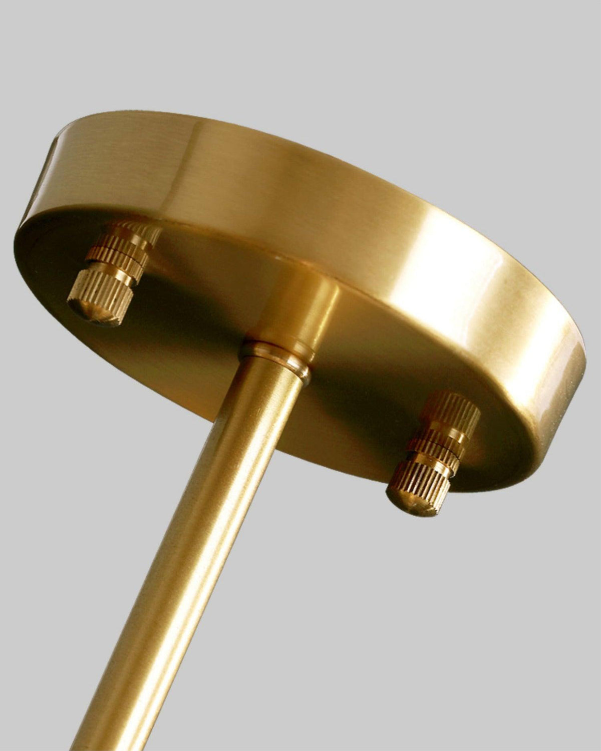 rhizome-ceiling-light