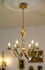 rodrick-6-light-chandelier