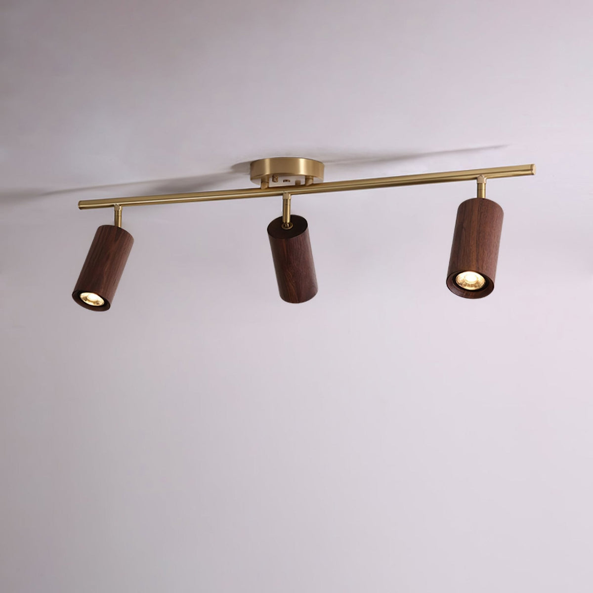 Rowan Ceiling Light in Walnut and Brass, Modern Track Lighting