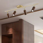 Rowan Ceiling Light in Walnut and Brass, Modern Track Lighting