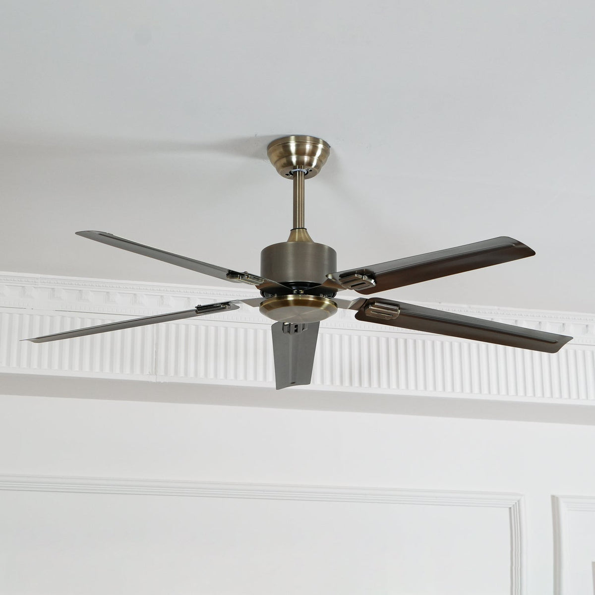 Rozzen Ceiling Fan