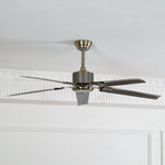Rozzen Ceiling Fan