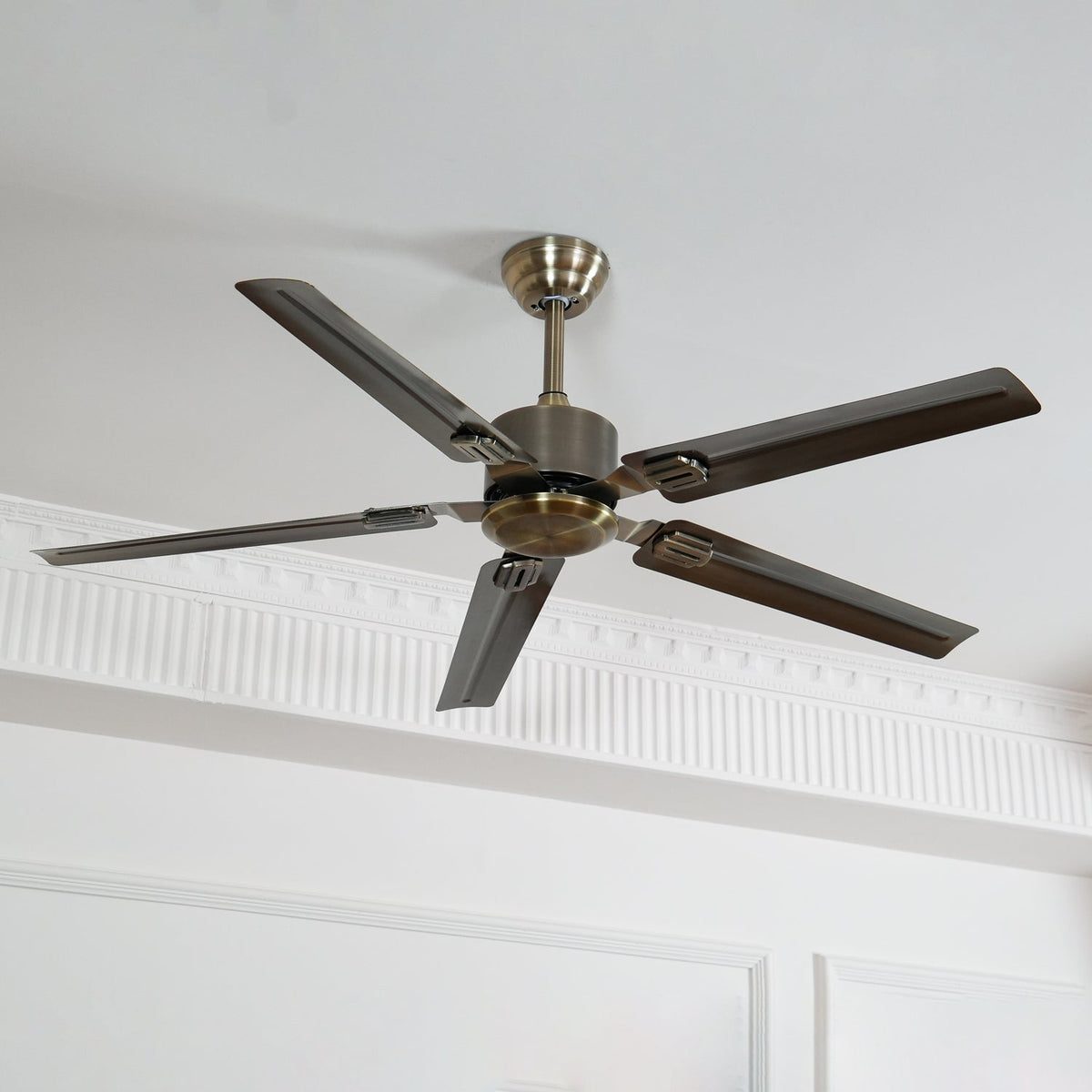 Rozzen Ceiling Fan
