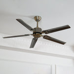 Rozzen Ceiling Fan