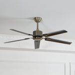 Rozzen Ceiling Fan