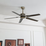 Rozzen Ceiling Fan
