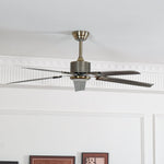 Rozzen Ceiling Fan