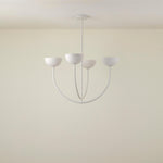 ruzo-chandelier