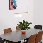 Satellite Seiling Pendant Light