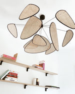 screen-cannage-suspension