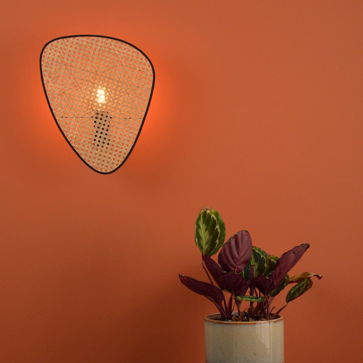 Screen Cannage Wall Light