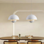 Semi Circular Pendant Light