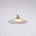 Semi Arch Pendant Light – Designer Aluminum Swag Lamp for Dining & Living Spaces