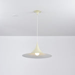 Semi Arch Pendant Light – Designer Aluminum Swag Lamp for Dining & Living Spaces