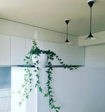 Semi Arch Pendant Light – Designer Aluminum Swag Lamp for Dining & Living Spaces