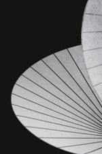 serpentine-pendant-light