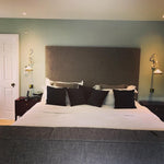 Shear Plug In Wall Light